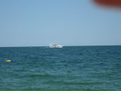 Романія Сарамака фотография #40 (источник - https://vk.com/id33844801)