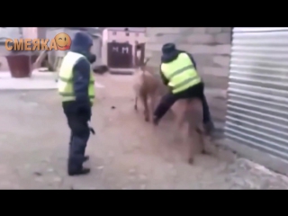 Приколы июль 2016 №105