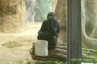 Іван Спас фотография #47 (источник - https://vk.com/id103149214)