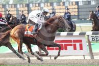 Drosselmeyer Favorite фотография #18 (источник - https://vk.com/id86315511)