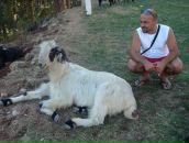 Umit Umit фотография #12 (источник - https://vk.com/id39420455)