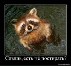 Фотография Раковой Виктории