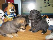 Юліан Лагун фотография #17 (источник - https://vk.com/id40781344)