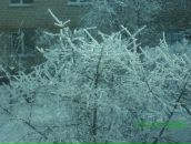 Іван Дерновий фотография #25 (источник - https://vk.com/id23671882)