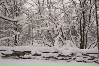 Natalia Hauser фотография #43 (источник - https://vk.com/id691460)