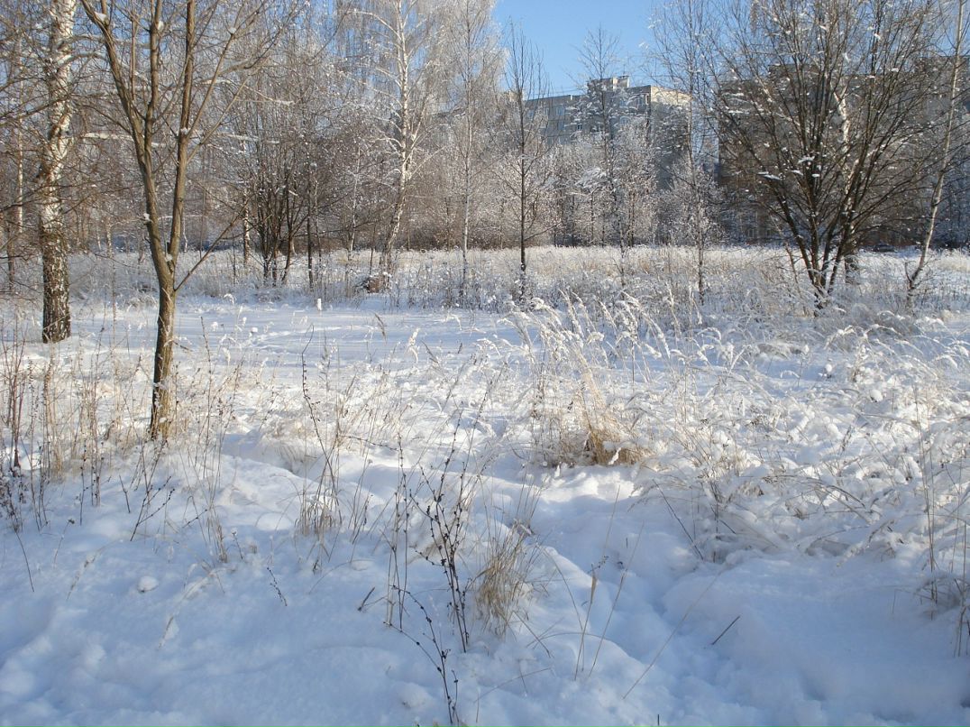 Дмитрий Лаёв фотография #29