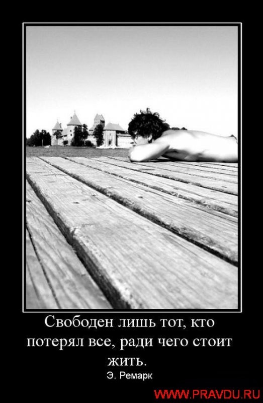 Дмитрий Шитов фотография #22