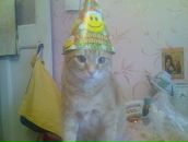 Фотография Hamrlik Roman