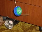 Дима Сергеевич фотография #33 (источник - https://vk.com/id1479155)