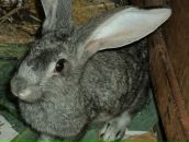 Екатерина Шульга фотография #32 (источник - https://vk.com/id63509643)