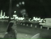 Фотография Aschepkova Elena