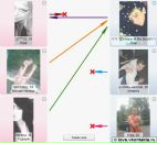 Віта Римарчук фотография #49 (источник - https://vk.com/id28552395)