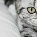 Сірожа Стицюк фотография #34 (источник - https://vk.com/id133380888)