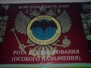 Фотография Шамилова Тимура
