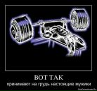 Фотография Кишаева Елена