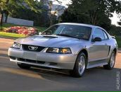 Фотография Щеглова Алексея