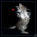 Фотография Юрьевны Светланы