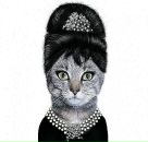 Миша Космос фотография #5 (источник - https://vk.com/id766289)