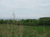 Александр Киреев фотография #25 (источник - https://vk.com/id4121643)