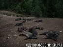 Міша Юріна фотография #35 (источник - https://vk.com/id70576909)