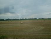 Наталя Паньків фотография #31 (источник - https://vk.com/id34969886)