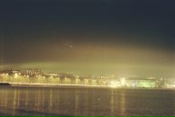 Камута Хіравата фотография #47 (источник - https://vk.com/id11637694)