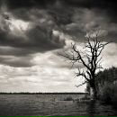 Фотография Zolotukhina Lenta