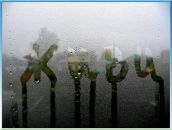 Фотография Мазурина Славы