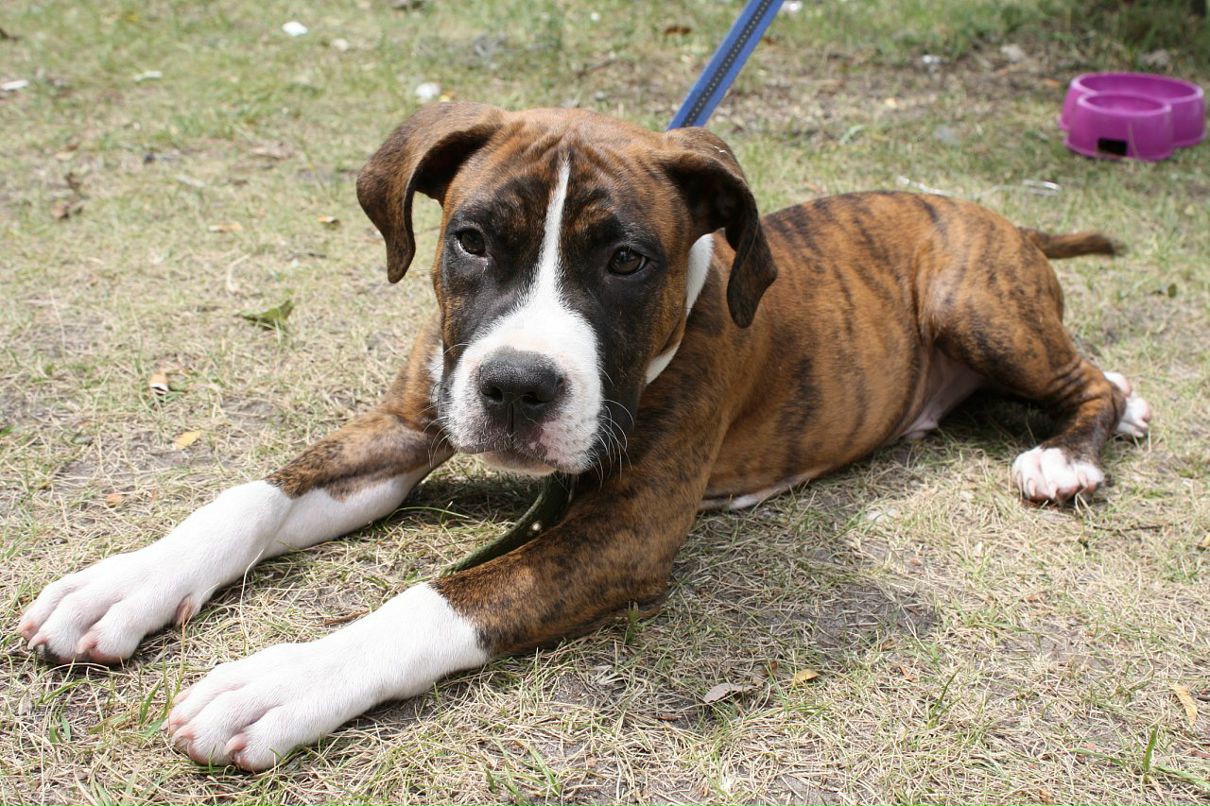 Кирилл Митяев фотография #13