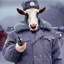 Валік Шамук фотография #29 (источник - https://vk.com/id92076626)