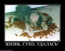 N[i]ki Baby фотография #43 (источник - https://vk.com/id66662499)