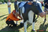 Дмитрий Дель фотография #17 (источник - https://vk.com/id417373)