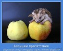Андрюха Склярук фотография #9 (источник - https://vk.com/id11705905)