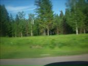 Фотография Кравченко Елены