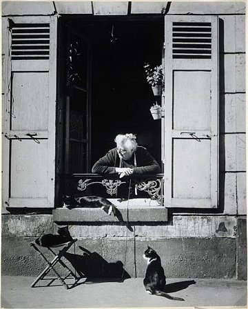  фото №20