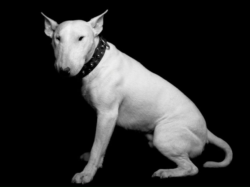 Alex Cherednikov фотография #46