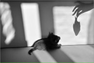 Elena Pugacheva фотография #38 (источник - https://vk.com/id222478)