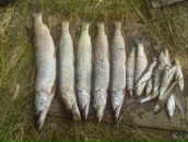 Ігор Труш фотография #30 (источник - https://vk.com/id62451232)