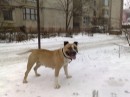 Вітала Котюк фотография #1