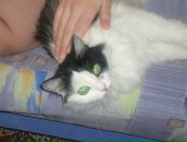 Фотография Каменских Насти