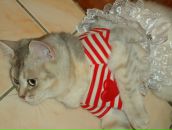 Фотография Батманов Айрат