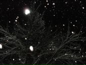 Ігорь Ігнатьев фотография #25 (источник - https://vk.com/id28343995)