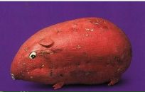 Антон Ковригин фотография #27 (источник - https://vk.com/id2805795)