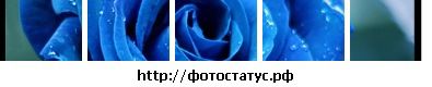 Олічка Музочка фотография #12 (источник - https://vk.com/id12939355)