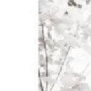 Ленусічка Пусічка фотография #34 (источник - https://vk.com/id85132007)