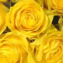 Василь Дмитрів фотография #44 (источник - https://vk.com/id98013424)