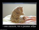 Фотография Вильдеевой Регины