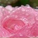 Людок Корнійчук фотография #44 (источник - https://vk.com/id21605957)