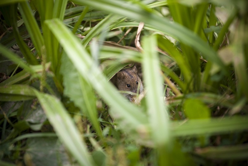 Роман Автушенко фотография #41