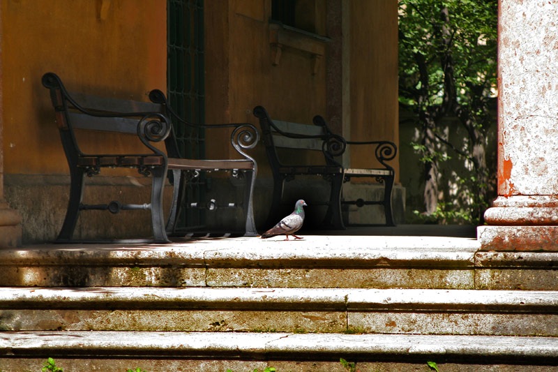 Дмитрий Тушин фотография #22